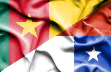 Şili ve Kamerun bayrağı sallayarak