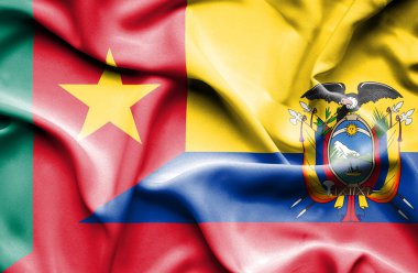 Ekvador ve Kamerun bayrağı sallayarak