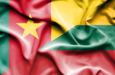 Litvanya ve Kamerun bayrağı sallayarak