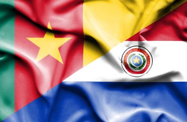 Paraguay ve Kamerun bayrağı sallayarak