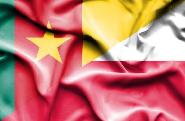 Polonya ve Kamerun bayrağı sallayarak