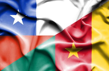 Kamerun ve Şili bayrağı sallayarak