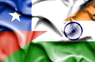 Hindistan ve Şili bayrağı sallayarak