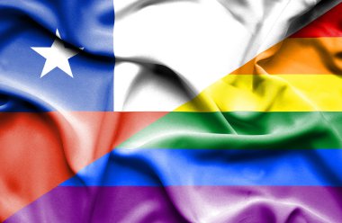 Lgbt ve Şili bayrağı sallayarak
