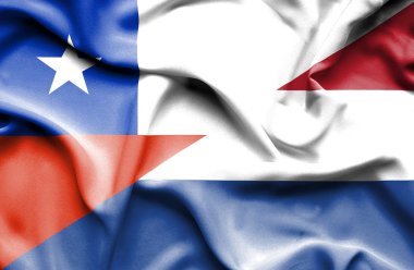 Hollanda ve Şili bayrağı sallayarak