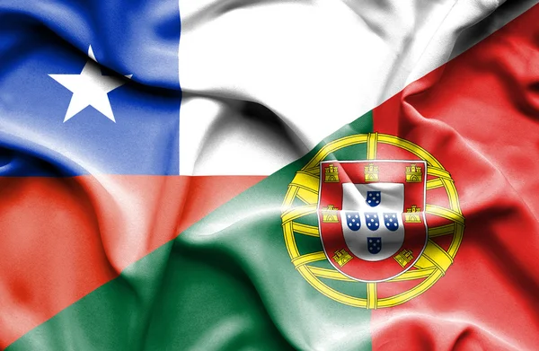 Portekiz ve Şili bayrağı sallayarak — Stok fotoğraf