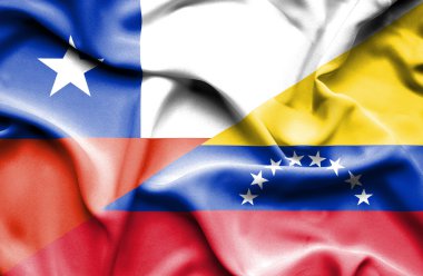 Venezuela ve Şili bayrağı sallayarak