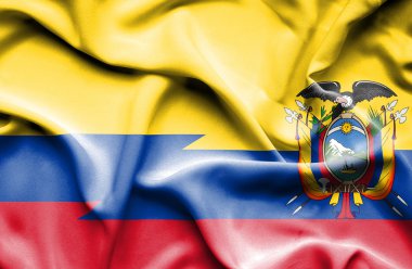 Ekvador ve Columbia bayrağı sallayarak