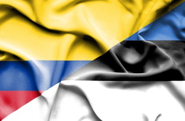 Estonya ve Columbia bayrağı sallayarak