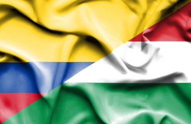 Macaristan ve Columbia bayrağı sallayarak