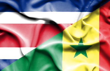 Senegal ve Kosta Rika Cumhuriyeti bayrağı sallayarak