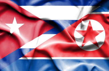 Küba ve Kuzey Kore bayrağı sallayarak