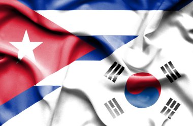 Güney Kore ve Küba bayrağı sallayarak