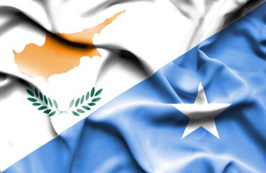 Somali ve Kıbrıs bayrağı sallayarak