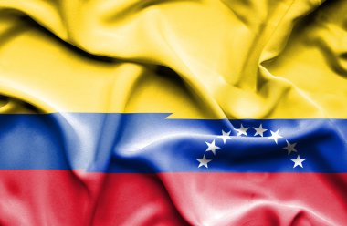 Venezuela ve Columbia bayrağı sallayarak