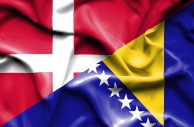 Bosna ve Hersek ve Danimarka bayrağı sallayarak