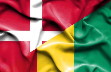 Gine ve Danimarka bayrağı sallayarak