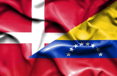 Venezuela ve Danimarka bayrağı sallayarak 