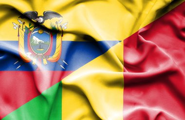 Mali ve Ekvador bayrağı sallayarak