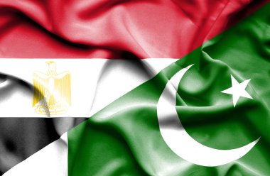 Pakistan ve Mısır bayrağı sallayarak