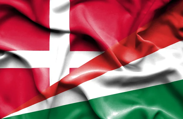 セイシェル ・ デンマークの旗を振っています。 — ストック写真