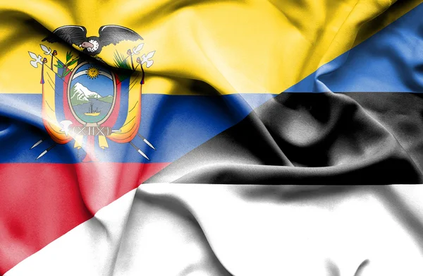Waving flag of Estonia and Ecuador — Stock Photo, Image