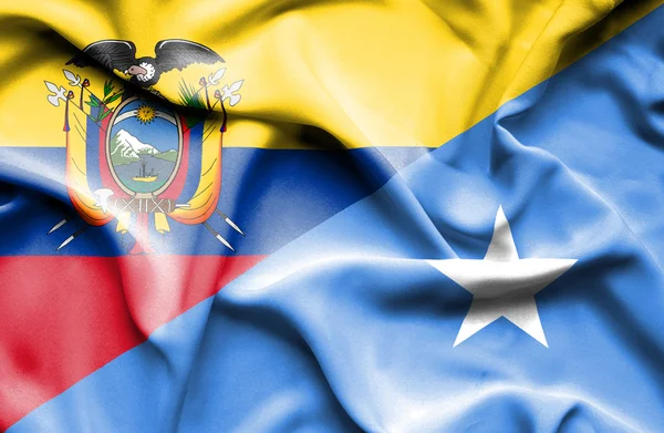 Somali ve Ekvador bayrağı sallayarak — Stok fotoğraf