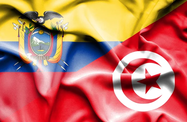 Tunus ve Ekvador bayrağı sallayarak — Stok fotoğraf