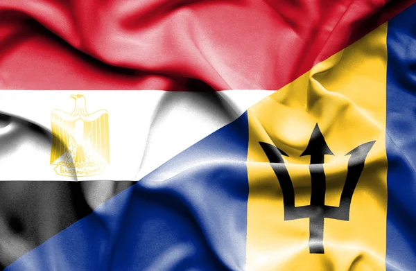 바베이도스와 이집트의 깃발을 흔들며 — 스톡 사진