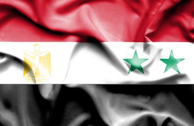 Suriye ve Mısır bayrağı sallayarak