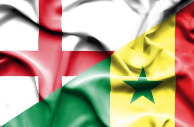 Senegal ve İngiltere bayrağı sallayarak