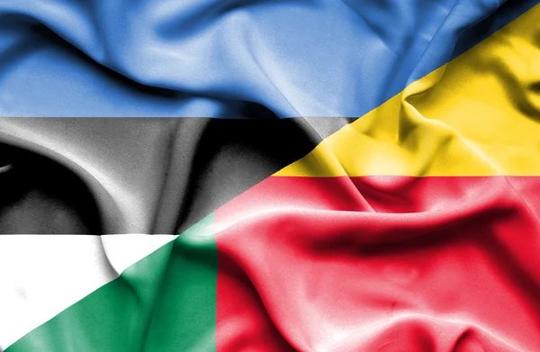Benin ve Estonya bayrağı sallayarak
