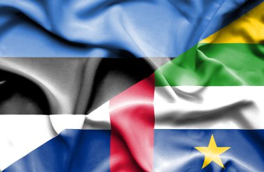 Orta Afrika Cumhuriyeti ve Estonya bayrağı sallayarak