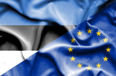 Avrupa Birliği ve Estonya bayrağı sallayarak
