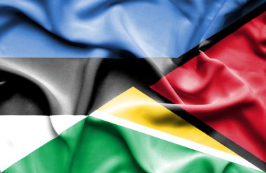 Guyana ve Estonya bayrağı sallayarak