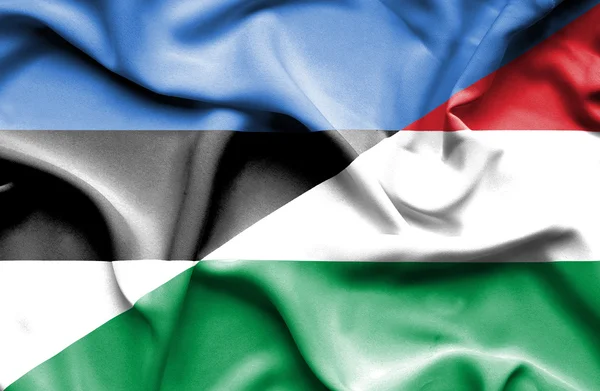 Waving flag of Hungary and Estonia — Stock Photo, Image