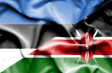 Kenya ve Estonya bayrağı sallayarak