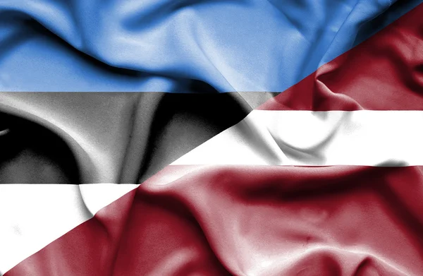 ラトビアとエストニアの旗を振っています。 — ストック写真