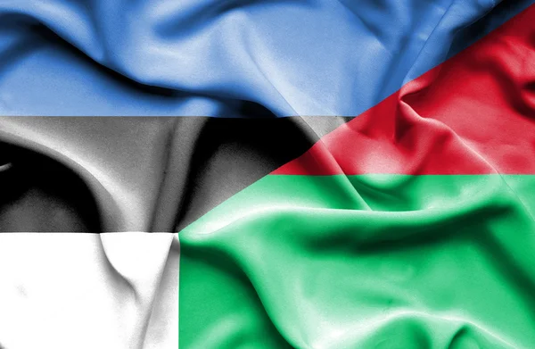 Wapperende vlag van Madagaskar en Estland — Stockfoto