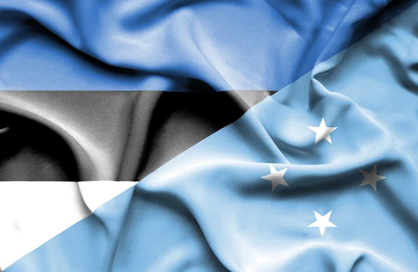 Mikronézia, Szövetségi Államok és Észtország hullámzó zászlaja — Stock Fotó