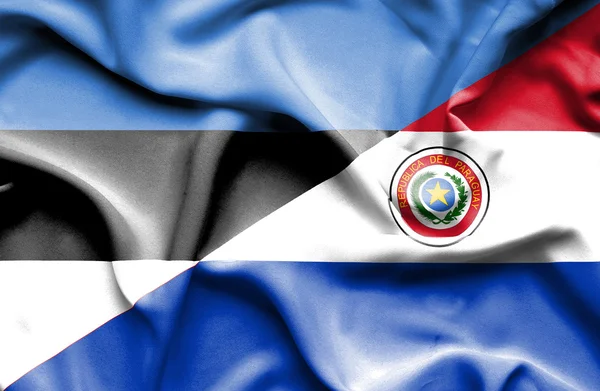 Wapperende vlag van Paraguay en Estland — Stockfoto