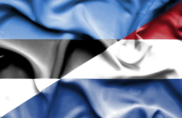 Waving flag of Netherlands and Estonia — Stock Photo, Image