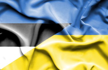 Ukrayna ve Estonya bayrağı sallayarak