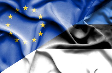 Estonya ve AB bayrağı sallayarak