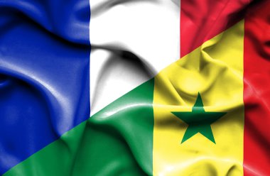 Senegal ve Fransa bayrağı sallayarak