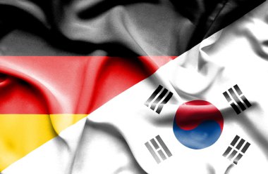 Güney Kore ve Almanya bayrağı sallayarak