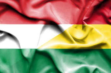 Bolivya ve Macaristan bayrağı sallayarak