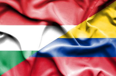 Columbia ve Macaristan bayrağı sallayarak