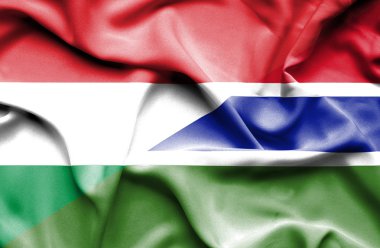Gambiya ve Macaristan bayrağı sallayarak
