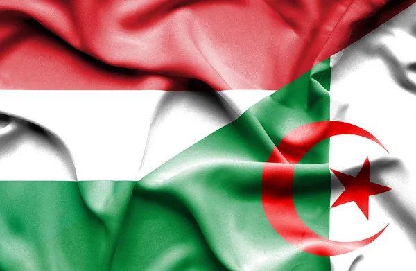 Waving flag of Algeria and Hungary — Stock Photo, Image